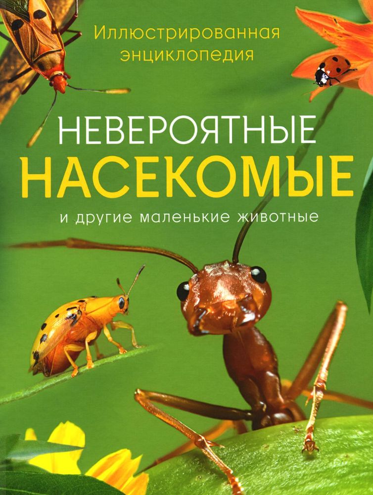 Невероятные насекомые и другие маленькие животные. Иллюстрированная энциклопедия