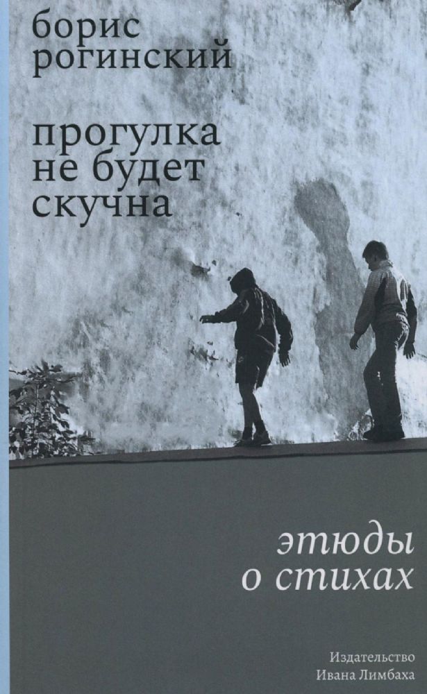 Прогулка не будет скучна: Этюды о стихах