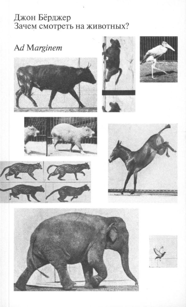 Зачем смотреть на животных? 2-е изд