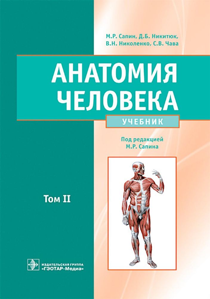 Анатомия человека. Учебник. В 2 т. Т. 2