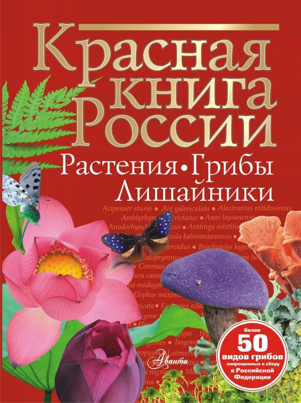 Красная книга России. Растения Грибы Лишайники