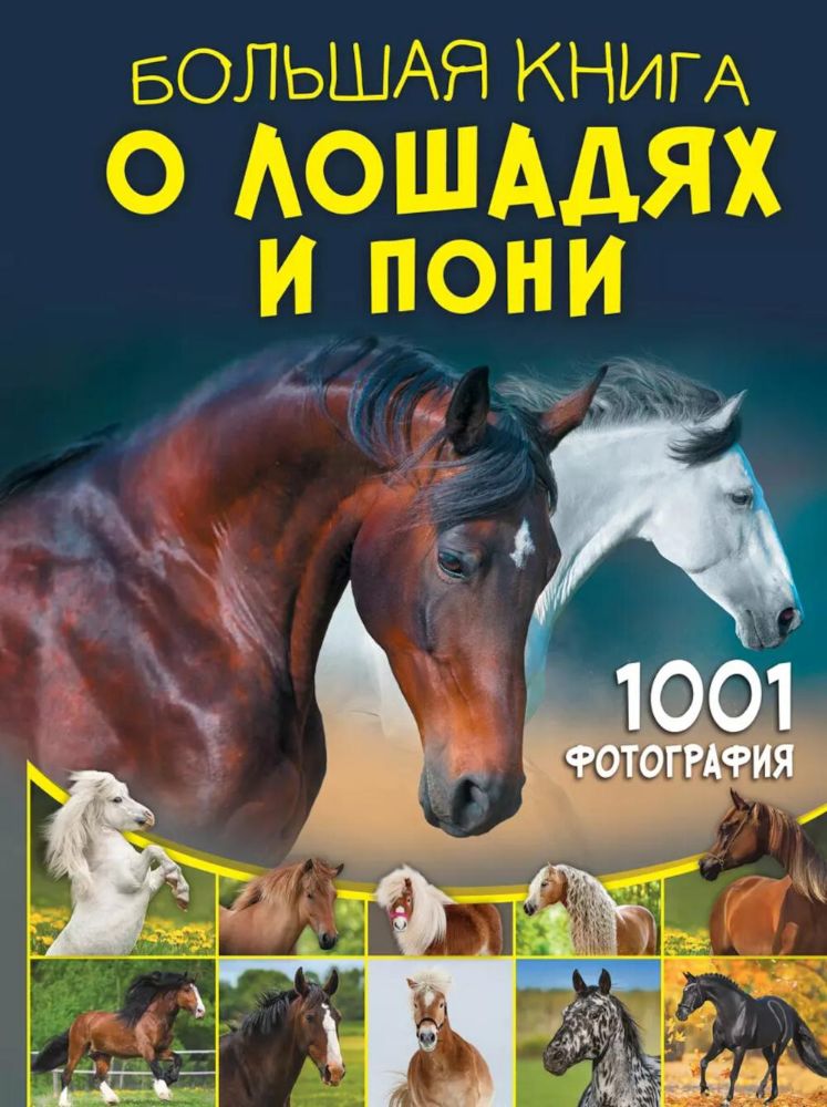 Большая книга о лошадях и пони. 1001 фотография