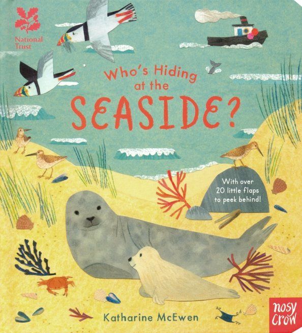 Whos Hiding at the Seaside? (board bk)'