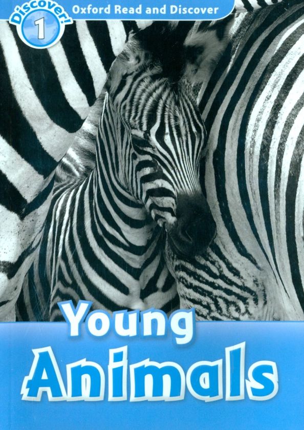 ORD 1 Young Animals