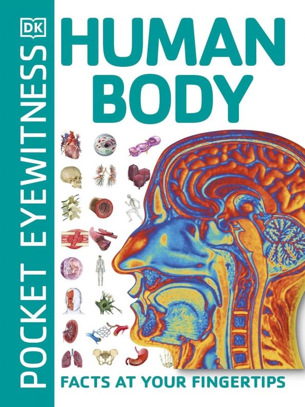 Human Body (Pocket Eyewitness)