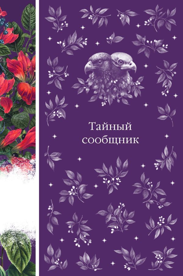 Тайный сообщник (книга #8)