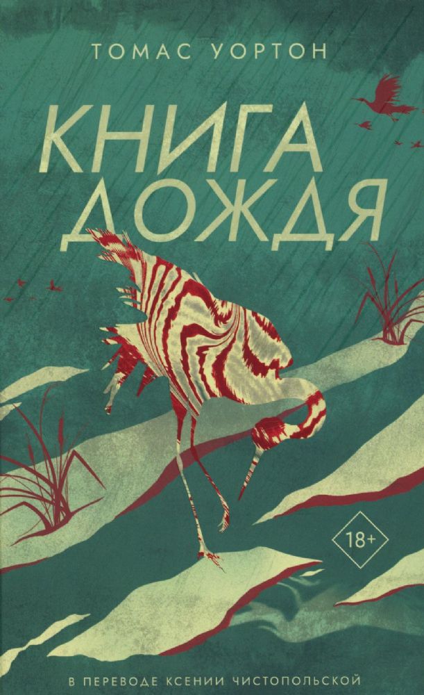 Книга дождя