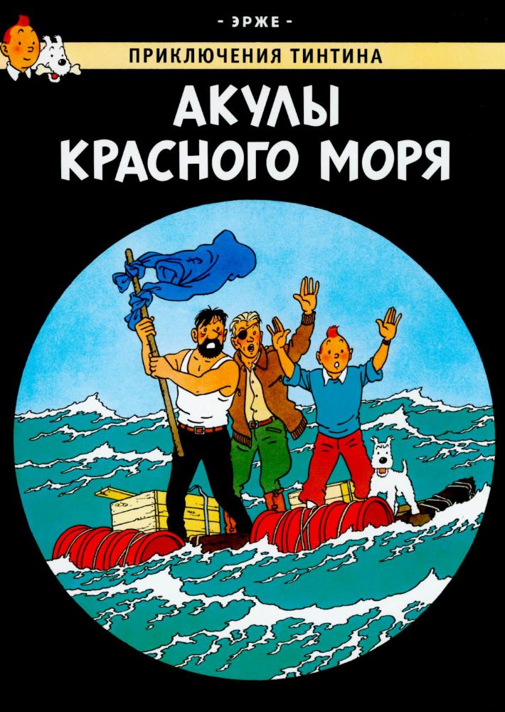 Акулы Красного моря