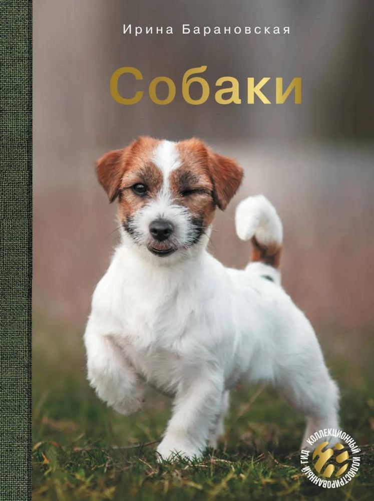 Собаки