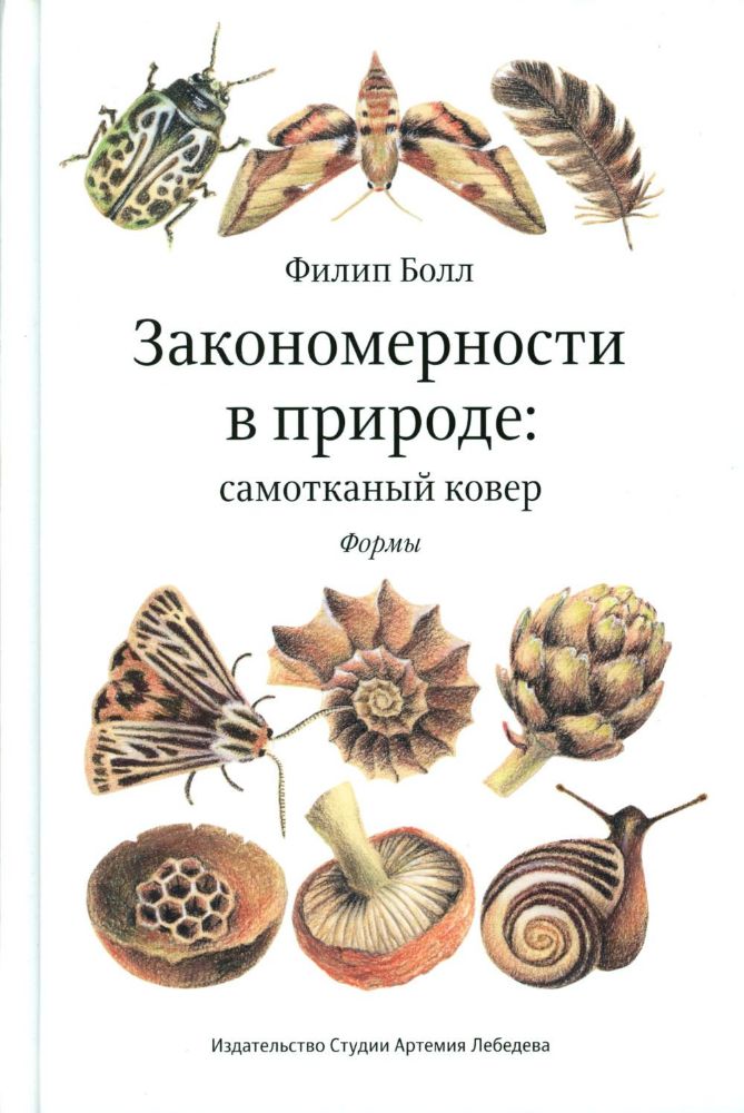 Закономерности в природе: самотканый ковер: В 3 ч.: Ч. 1: Формы